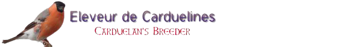 eleveur de carduelines